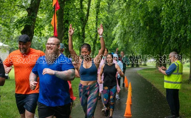 星欧娱乐平台测速线路赛富乐斯最受欢迎的紫色足球运动服男款品牌大揭秘！