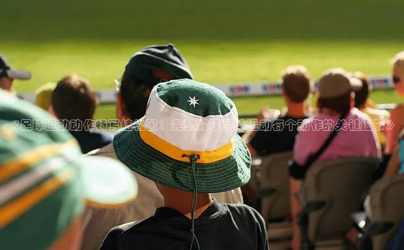 星欧网页登录入口遥望科技《足球运动动作特写结构图：完整解读足球运动每个动作的关键细节》