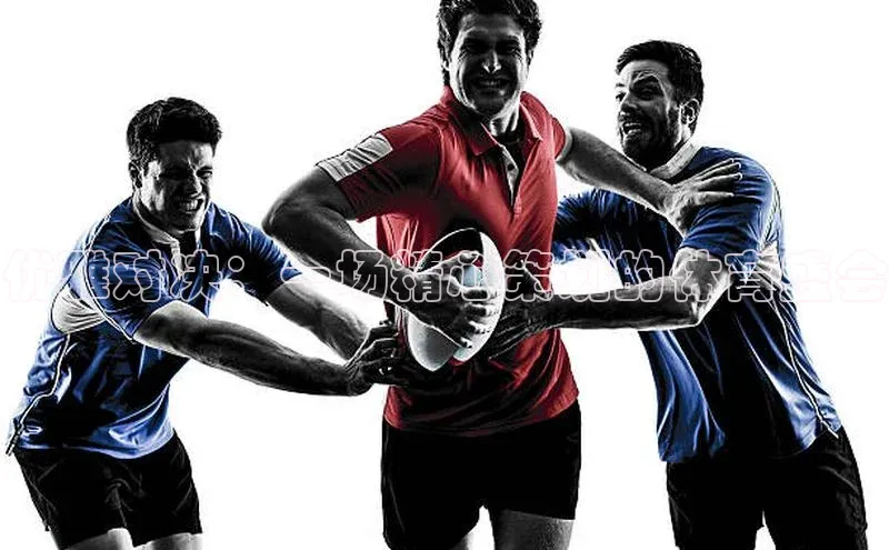 星欧账号登录入口顺丰优雅对决：一场精心策划的体育盛会