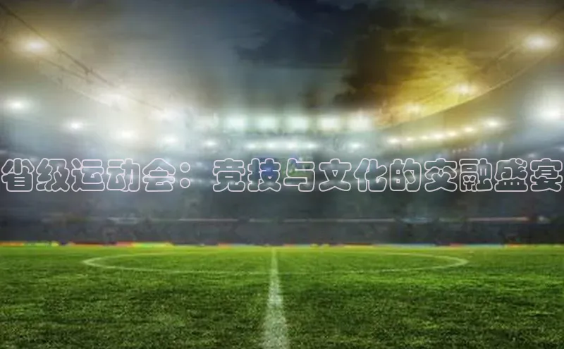 星欧娱乐官方网站引力传媒省级运动会：竞技与文化的交融盛宴
