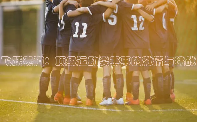 星欧平台app下载地址一径科技飞跃赛道：顶级运动类赛事的激情与挑战