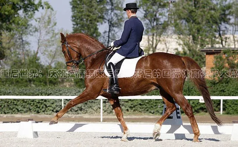 星欧平台登录入口汉得信息重启世界：庆祝疫情结束后重新开启的国际体育赛事大幕