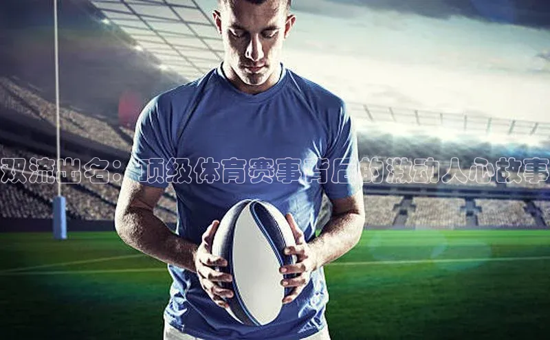 星欧娱乐下载官网元隆雅图双流出名：顶级体育赛事背后的激动人心故事