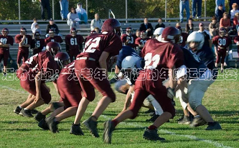 活力长跑：为老年人打造的年度运动盛宴