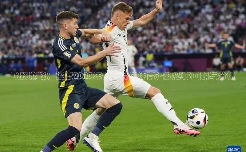 飞跃巅峰：深度2023年世界最佳体育运动赛事回顾与分析