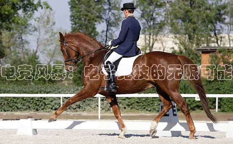 电竞风暴：电子竞技的无限可能