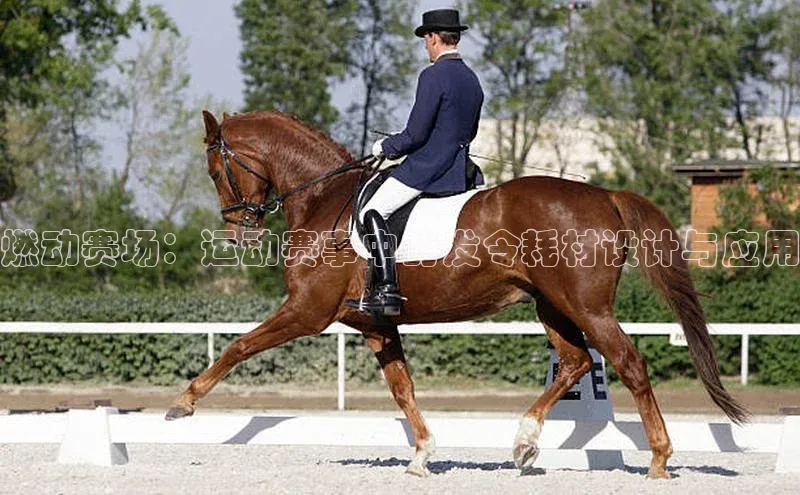 燃动赛场：运动赛事中的发令耗材设计与应用