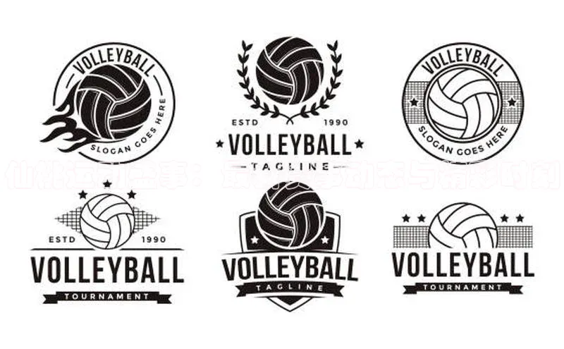 仙桃运动盛事：最新赛事动态与精彩时刻