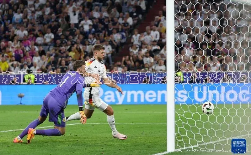 东北狂欢：大连宠物运动赛事的精彩瞬间