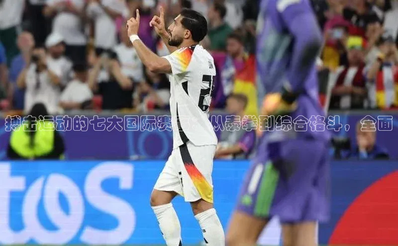 搏击运动的七大国际赛事：从泰拳到综合格斗，全面