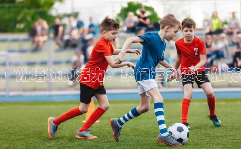 广州增城的活力：热门运动赛事推荐