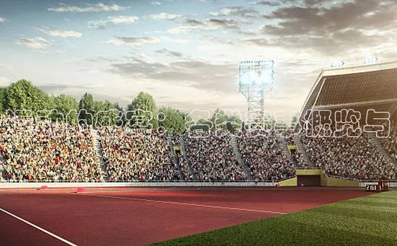 运动的盛宴：各类赛事概览与