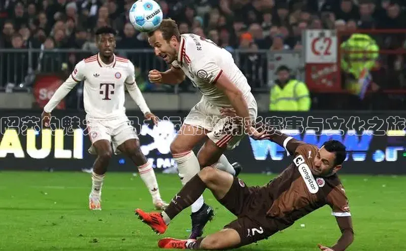 昭苏的魅力：马术运动的精彩赛事与文化之旅