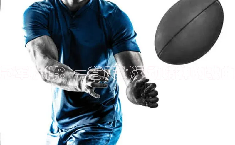 星欧娱乐平台官网入口