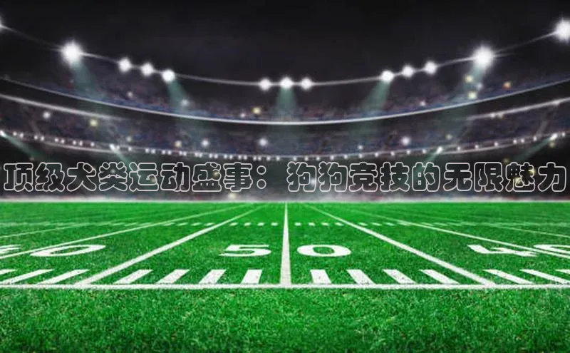 顶级犬类运动盛事：狗狗竞技的无限魅力