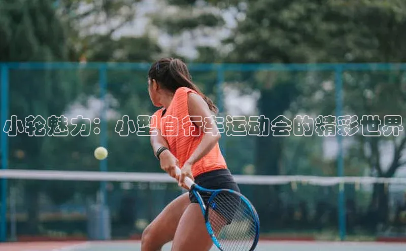 小轮魅力：小型自行车运动会的精彩世界